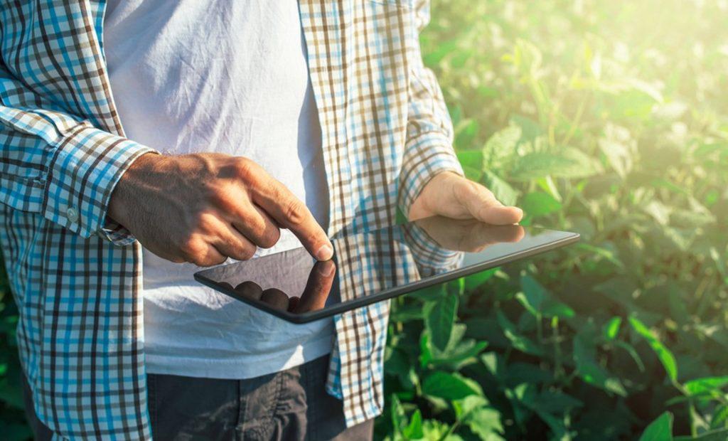 Conta prata? Pagamento Pix? O que muda na entrega da DITR 2025? Advogado tira as dúvidas