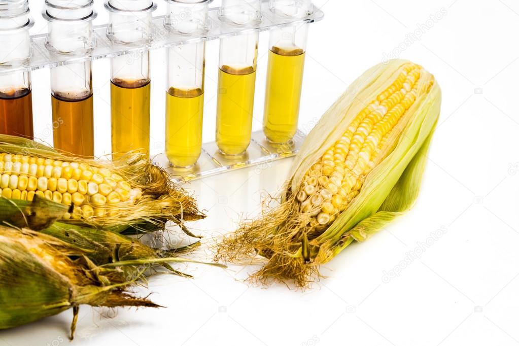 etanol de milho