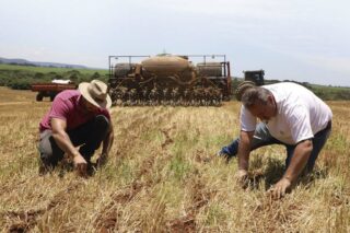 dependência fertilizantes