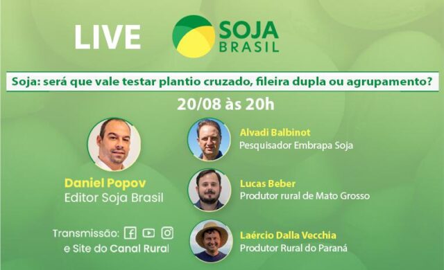 Assista: saiba qual o melhor arranjo de plantas de soja para altas produtividades