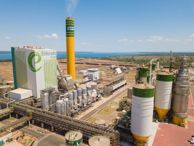 setor de base florestal - eldorado brasil