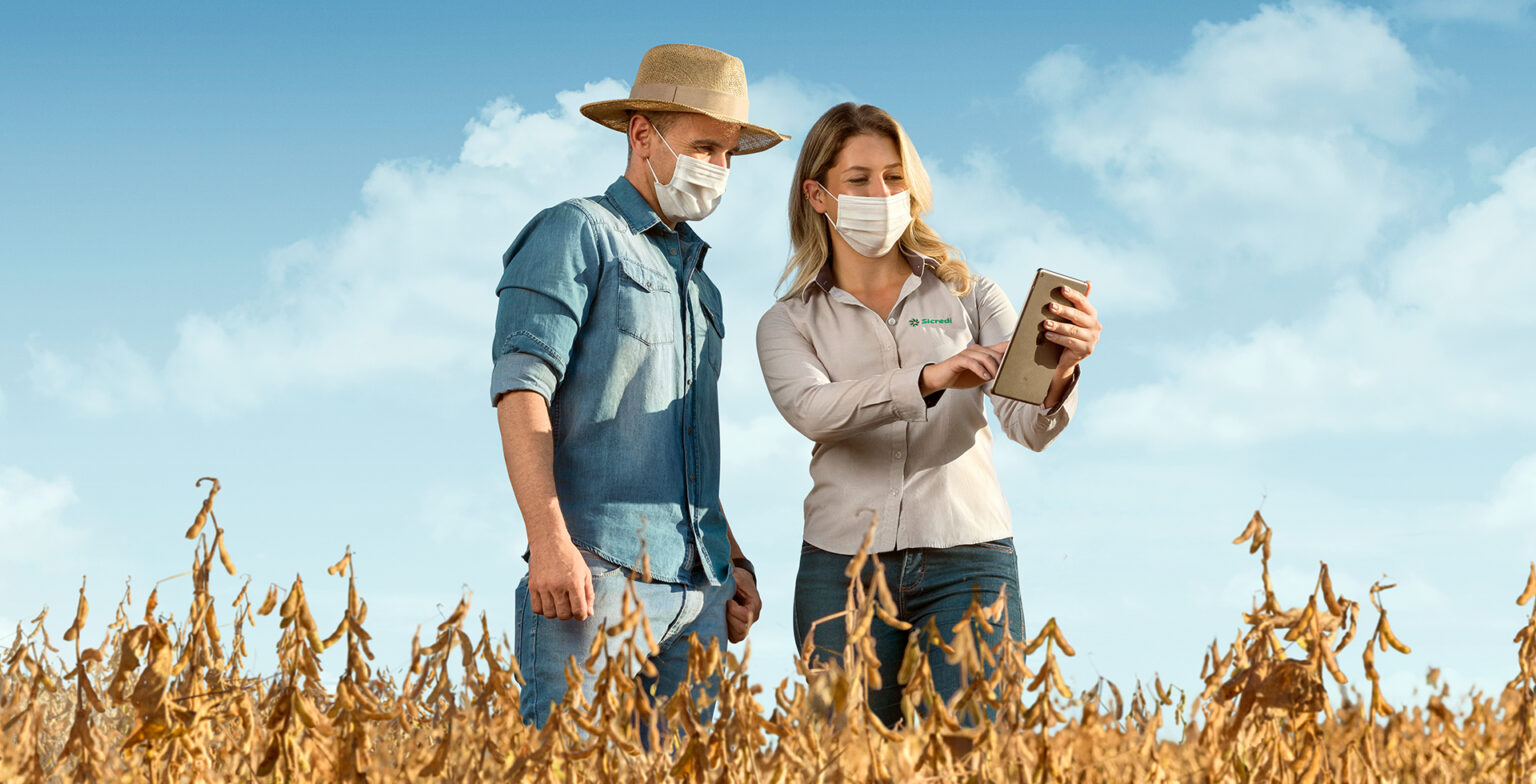 Safra recorde: agronegócio deve estar atento para investir resultado da produção