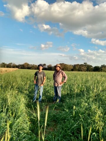 produtor de soja certificada no oeste do Paraná