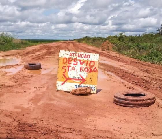 Foto: Pedro Silvestre