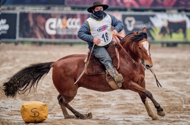 Freio de Ouro Classificatória Sul