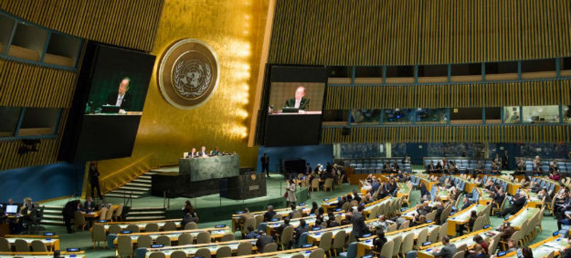 assembleia ONU