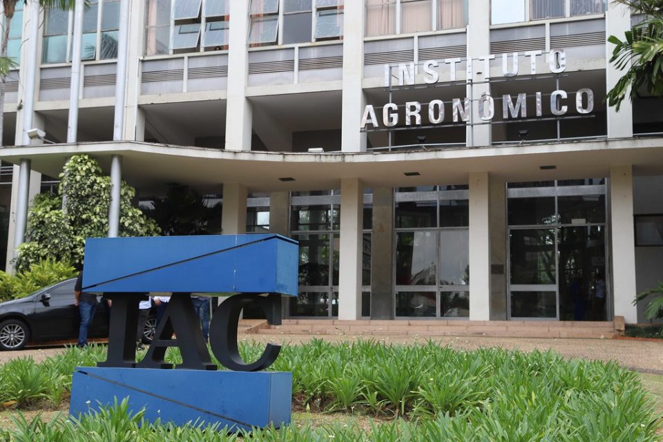 IAC, Instituto Agronomico, Campinas