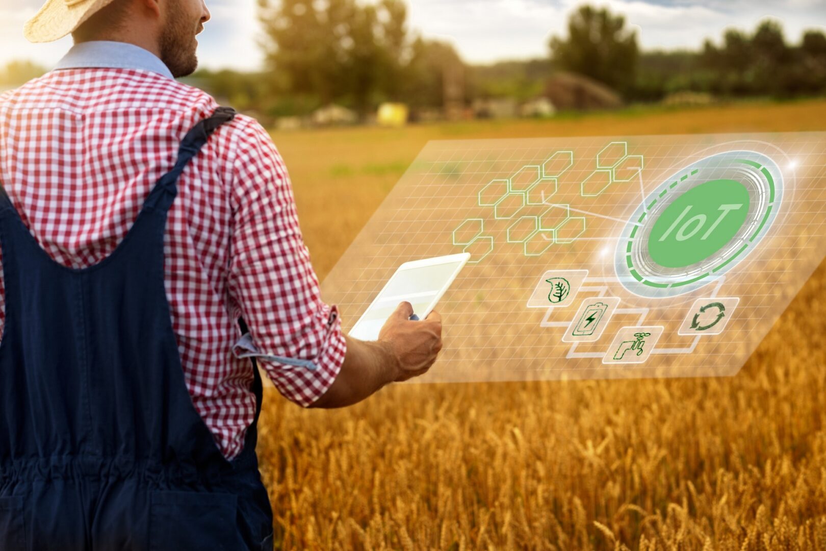 Farmer in overall checking field status on digital tablet