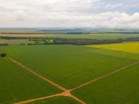 CAR Lavoura com reserva legal em Campo Verde foto Rafael Marques Secom - MT - agropecuária