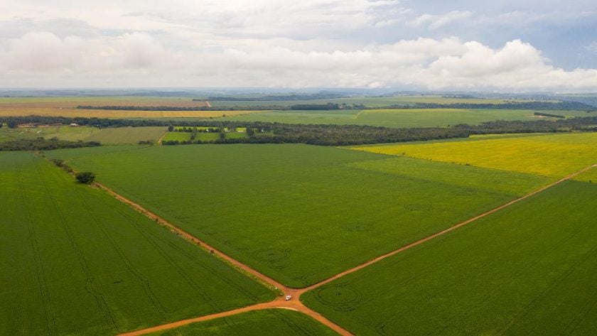 CAR Lavoura com reserva legal em Campo Verde foto Rafael Marques Secom - MT - agropecuária