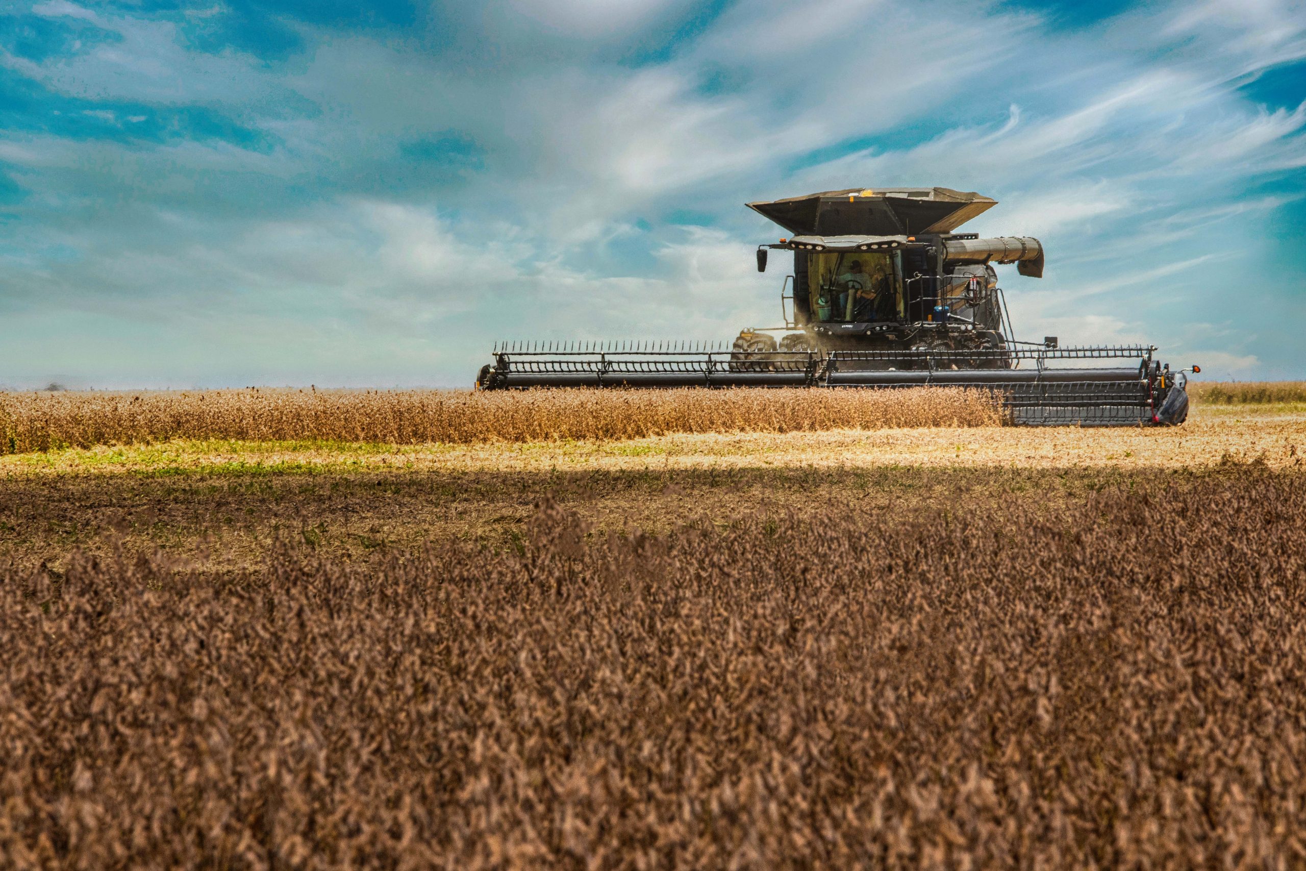 Colheita da soja atinge 96,4% da área; veja evolução dos estados
