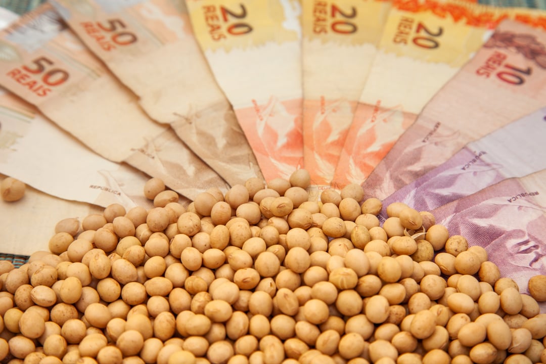 Preços da soja não sentem impacto de relatório baixista do USDA; veja cotações