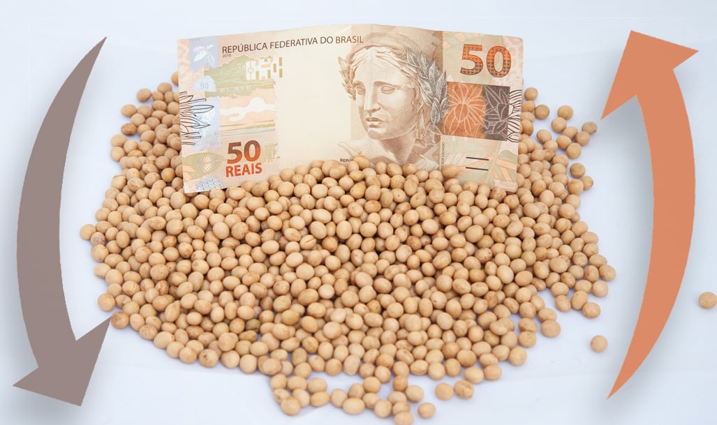 Preços da soja continuam impactados por relatório do USDA; veja cotações