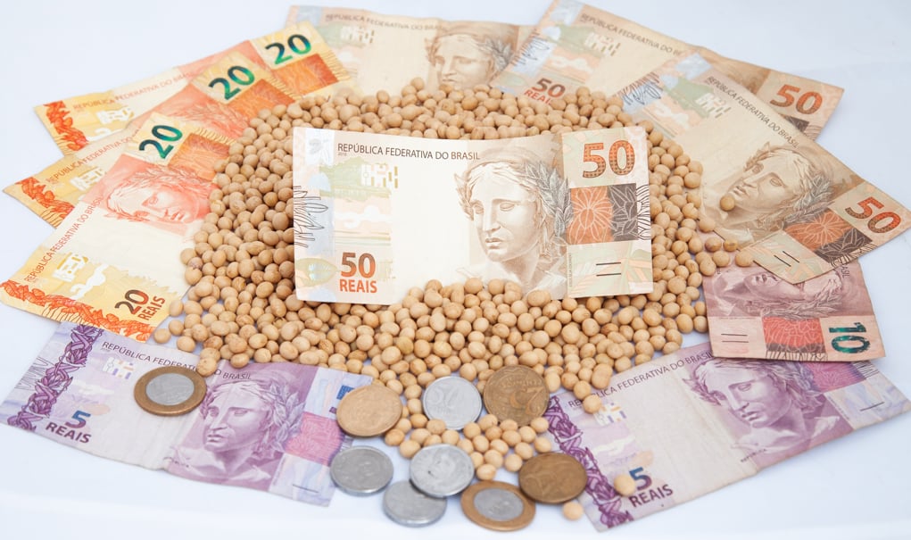 Grãos de soja em meio a notas de dinheiro e moedas