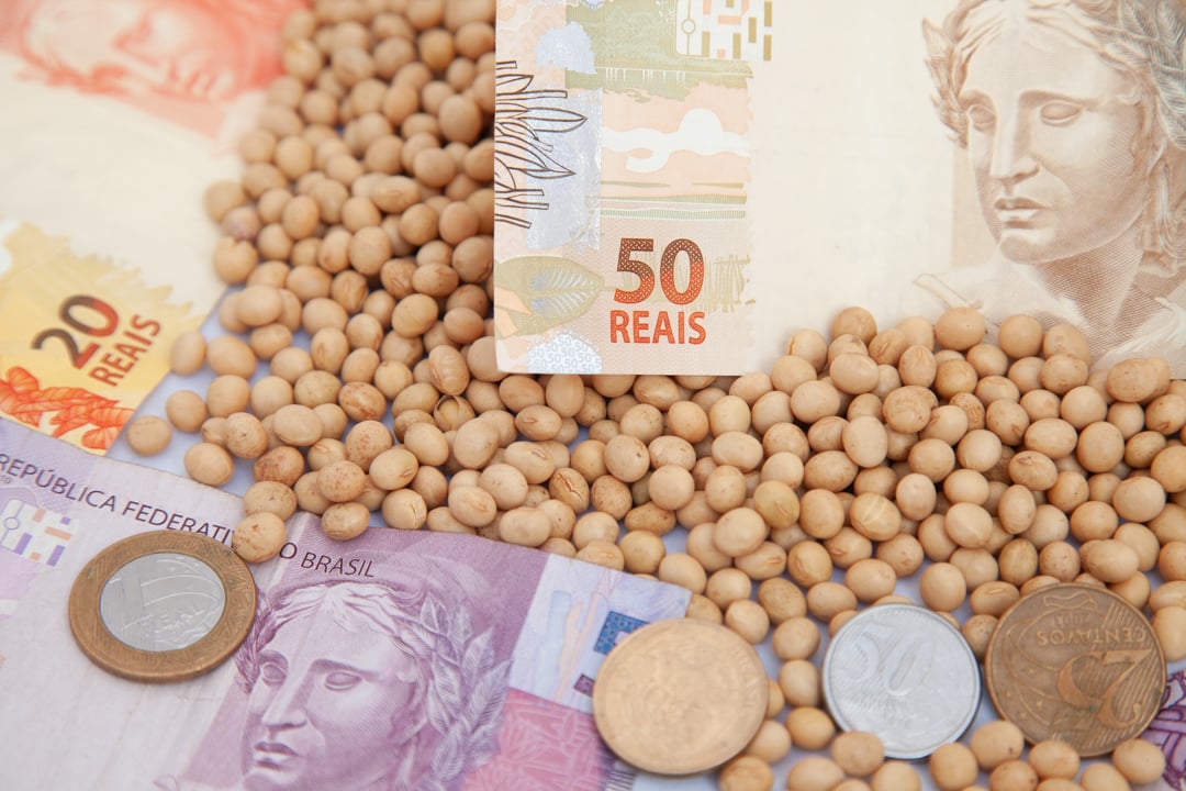 Confira os preços da soja no Brasil e em Chicago em dia de relatório do USDA