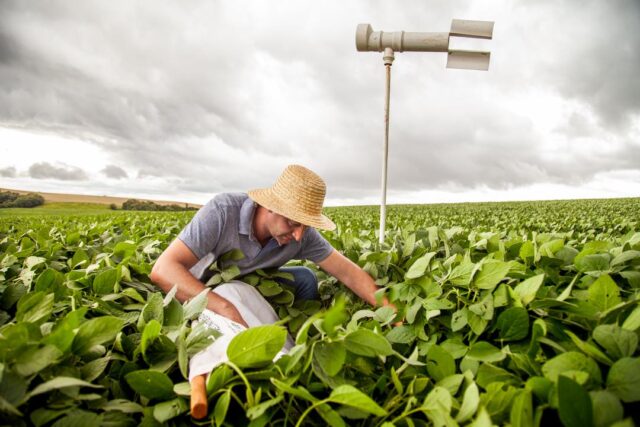 Dia Do Agricultor Canal Rural