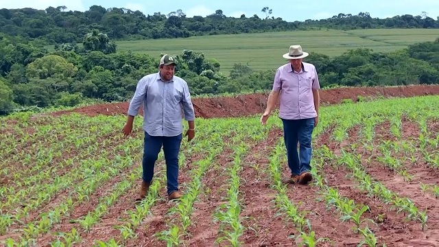 Família Burgel em Mato Grosso do Sul aposta na tecnologia para alcançar 120 sacas por hectare de produtividade. Foto: Canal Rural Mato Grosso