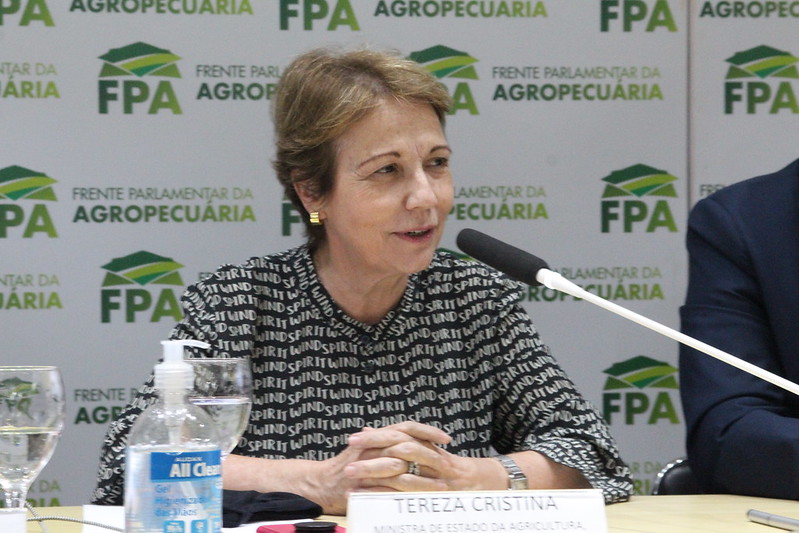 Tereza Cristina sobre tarifaço: Instituições precisam ter calma e equilíbrio nessa hora