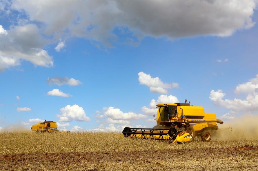 El IBGE prevé una cosecha agrícola récord de 270,7 millones de toneladas