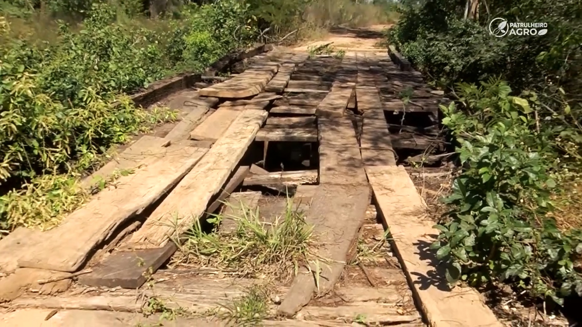 Patrulheiro Agro - Turismo, saúde e educação patinam com logística precária no Pantanal de MT