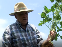 Produtor rural Zecão