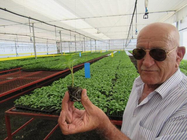 Agricultura Israel