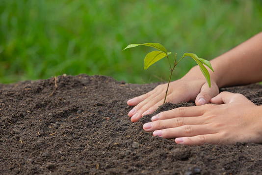 Bioinsumos impulsionam produtividade e sustentabilidade no campo