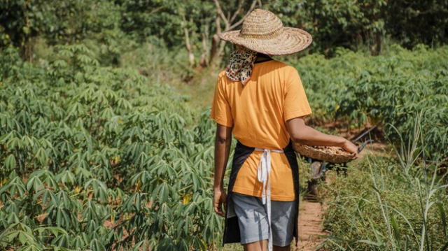 população rural é subestimado no Brasil