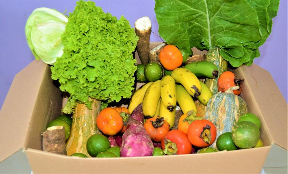 Certificado que facilita exportação de produtos vegetais atinge 20 mil emissões