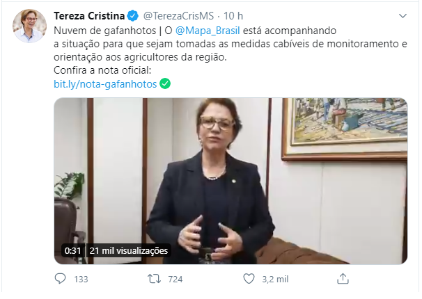 Tereza Cristina diz que governo monitora nuvem de gafanhotos no Brasil