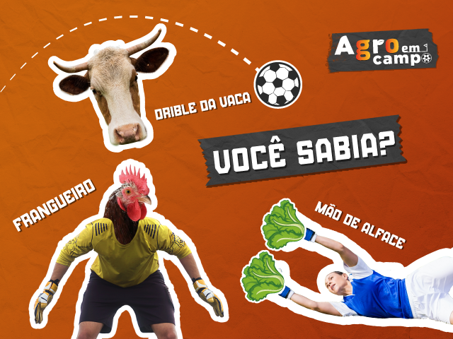Drible da vaca, frango e beque de fazenda: veja expressões do futebol com origem no agro