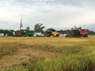 Foto: Canal Rural 