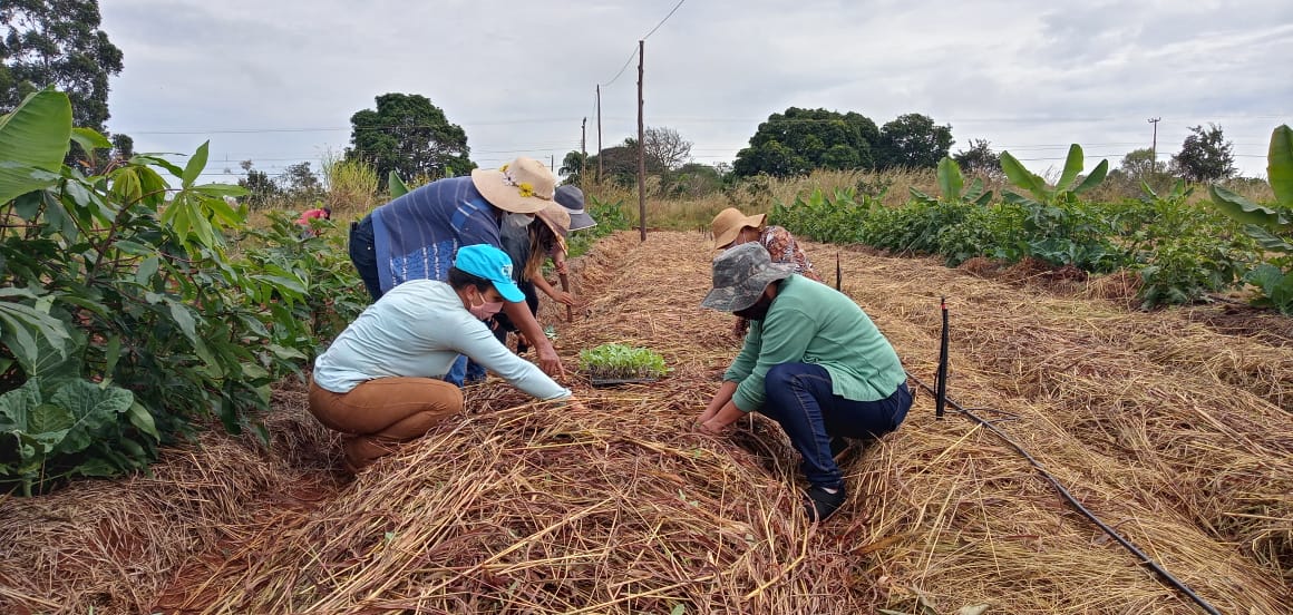 Dia de celebrar quem cultiva o campo e alimenta o Brasil