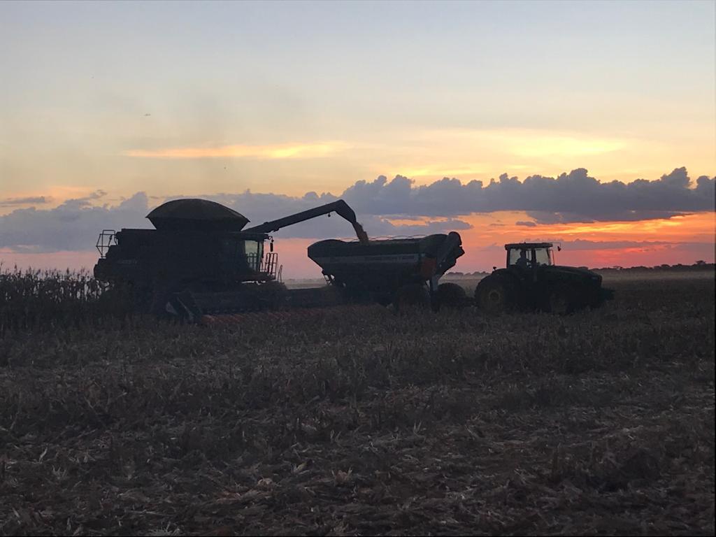 Fazenda Águas de Chapecó, em Nova Mutum (MT)