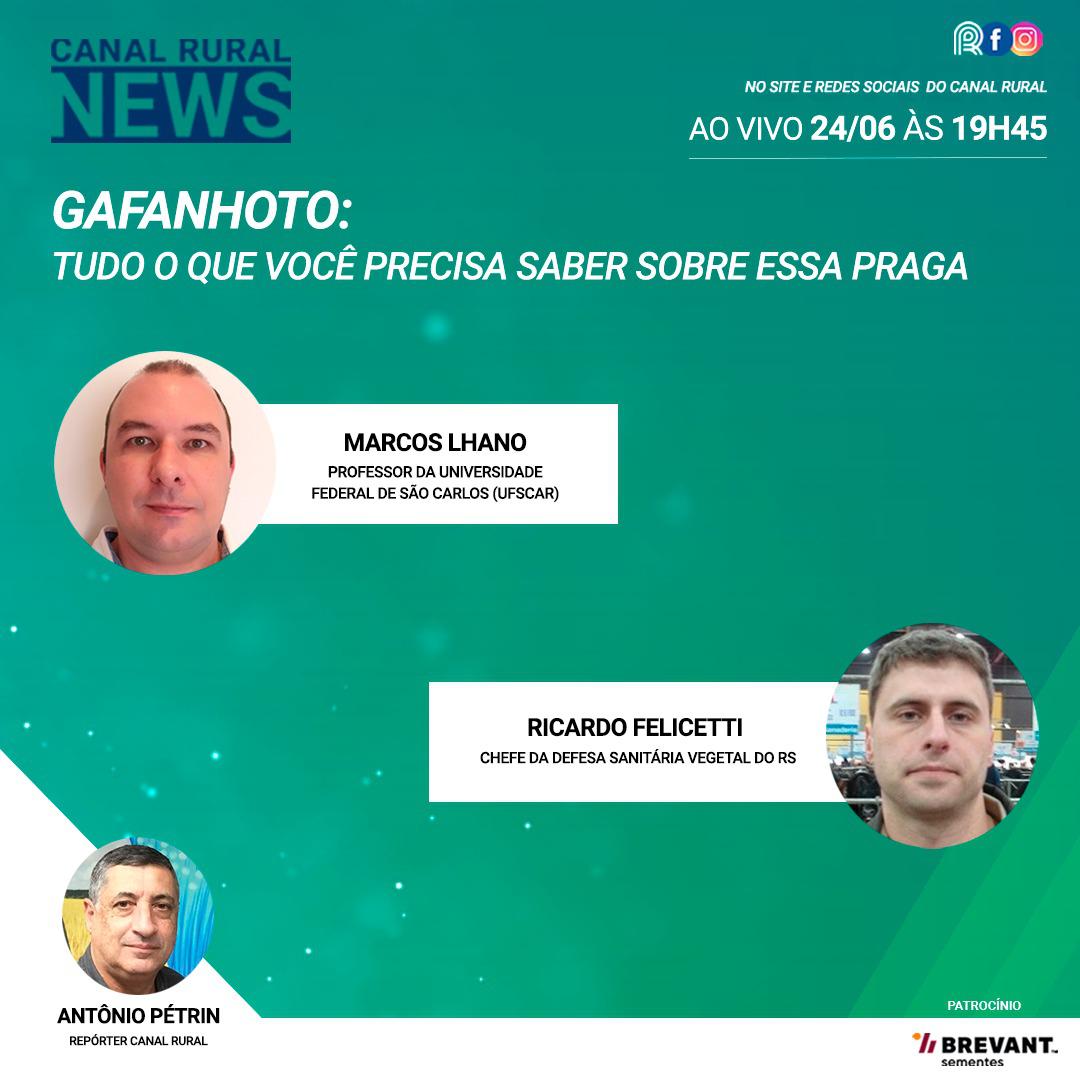 Assista na íntegra ao Canal Rural News: Gafanhotos - tudo o que você precisa saber sobre essa praga