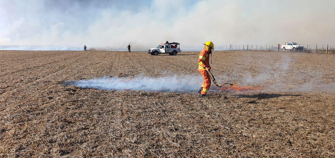 Incêndio criminoso faz produtor argentino perder trigo e milho pronto para colher