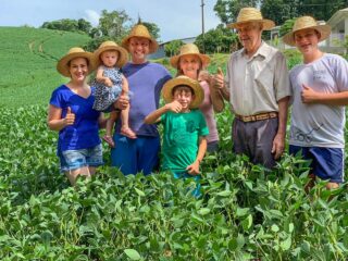 Você viu? produtor revela segredos para colher 118 sacas de soja por hectare
