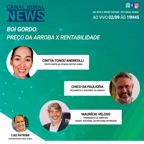 Assista na íntegra ao Canal Rural News: Preço da arroba do boi x rentabilidade