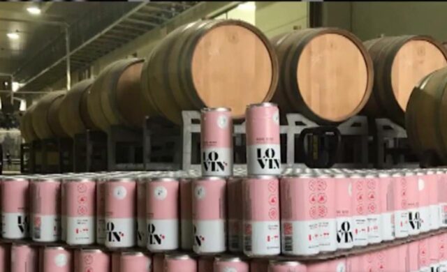 Vinho enlatado: conheça o novo modelo de vendas da bebida 100% online