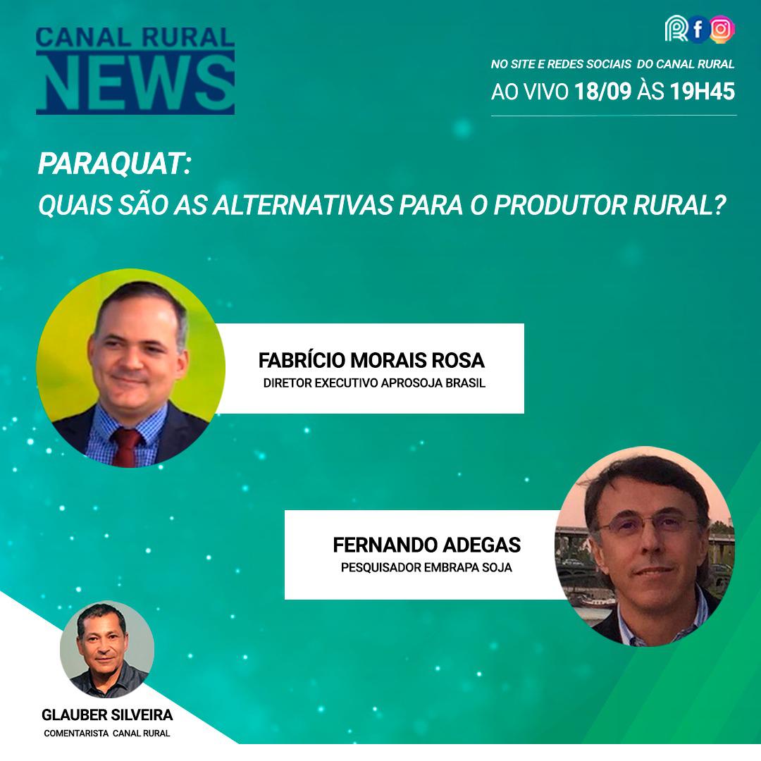 Confira a íntegra do Canal Rural News 'Paraquat: quais são as alternativas para o produtor?'