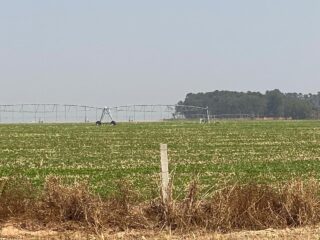 Plantio da soja começa em Mato Grosso, mas a maioria sob pivôs