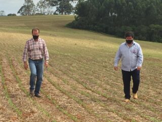 Sucessão familiar transforma fazenda em empresa de produção de soja