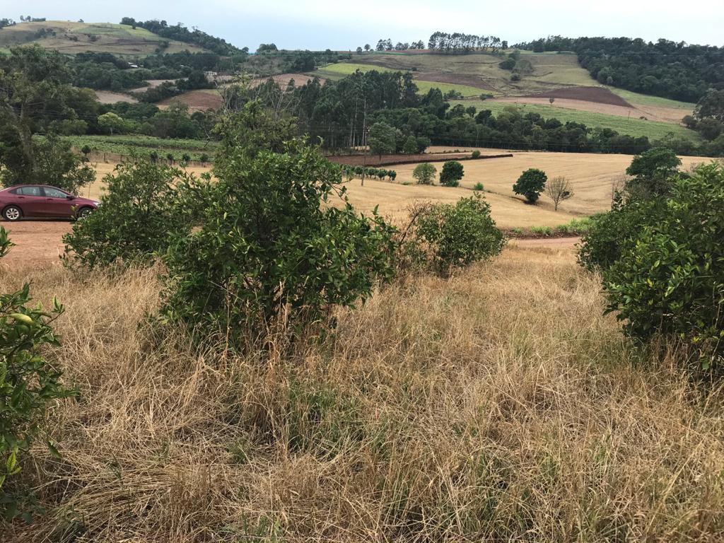 paisagem seca pela estiagem