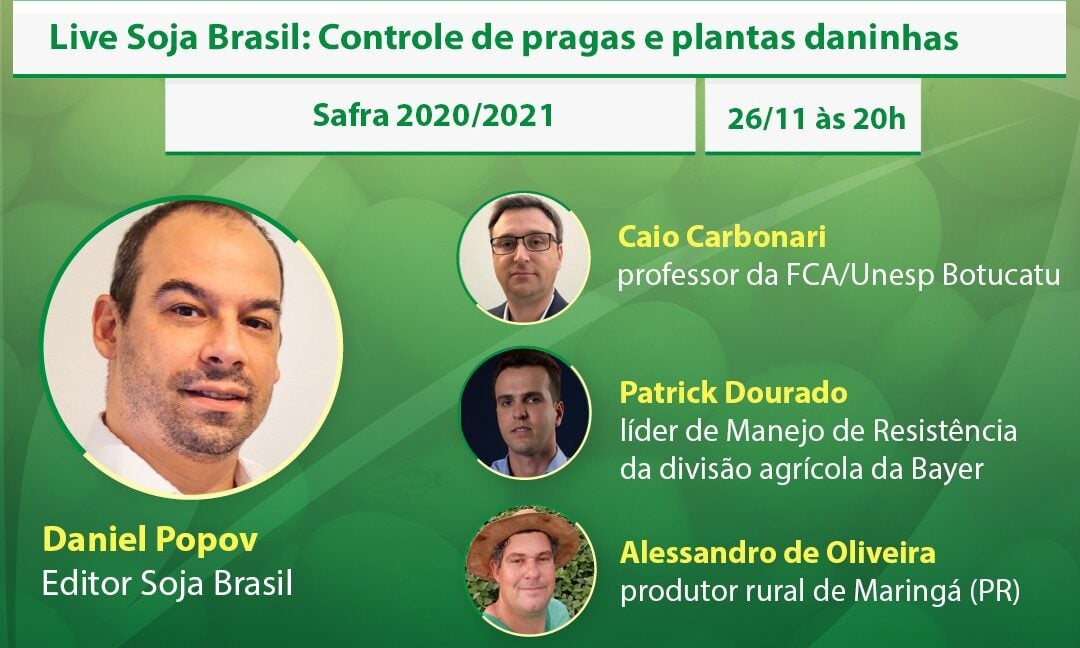 Assista: Live Soja Brasil sobre controle de pragas e plantas daninhas
