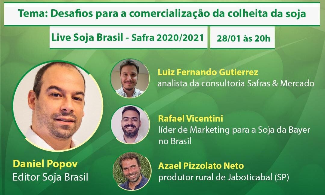 Live Soja Brasil: desafios para comercializar a safra de soja em 2020/2021