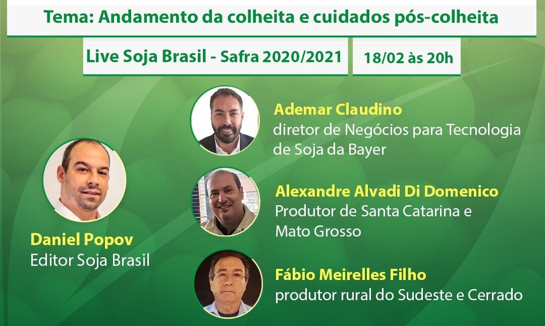Live Soja Brasil: andamento da colheita da soja no Brasil e os cuidados pós-colheita