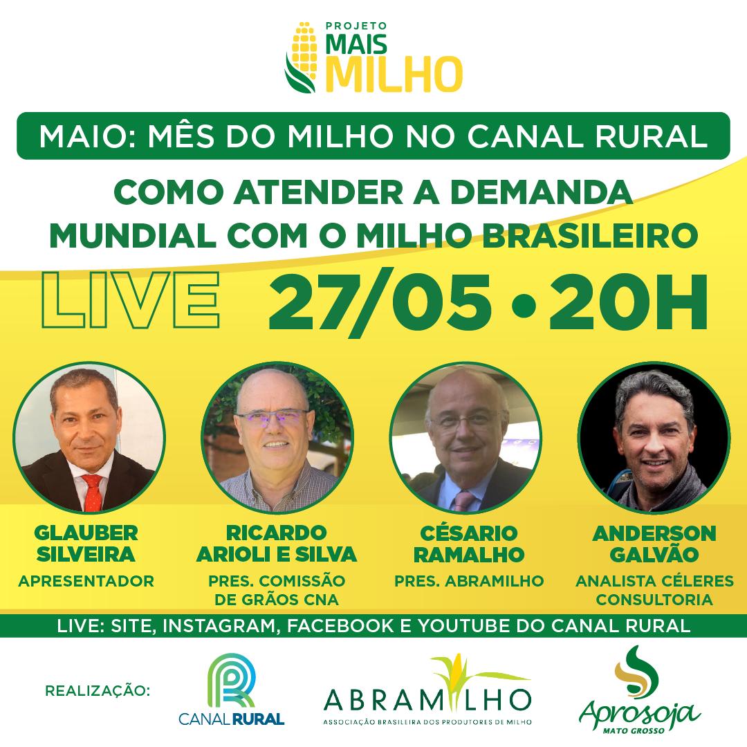 AO VIVO: Como atender à demanda mundial com o milho brasileiro