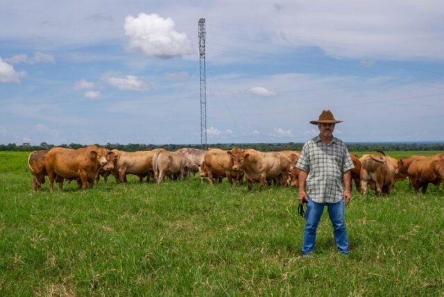 pecuária: criador de caracu, Zé Neves da Fazenda Arinos