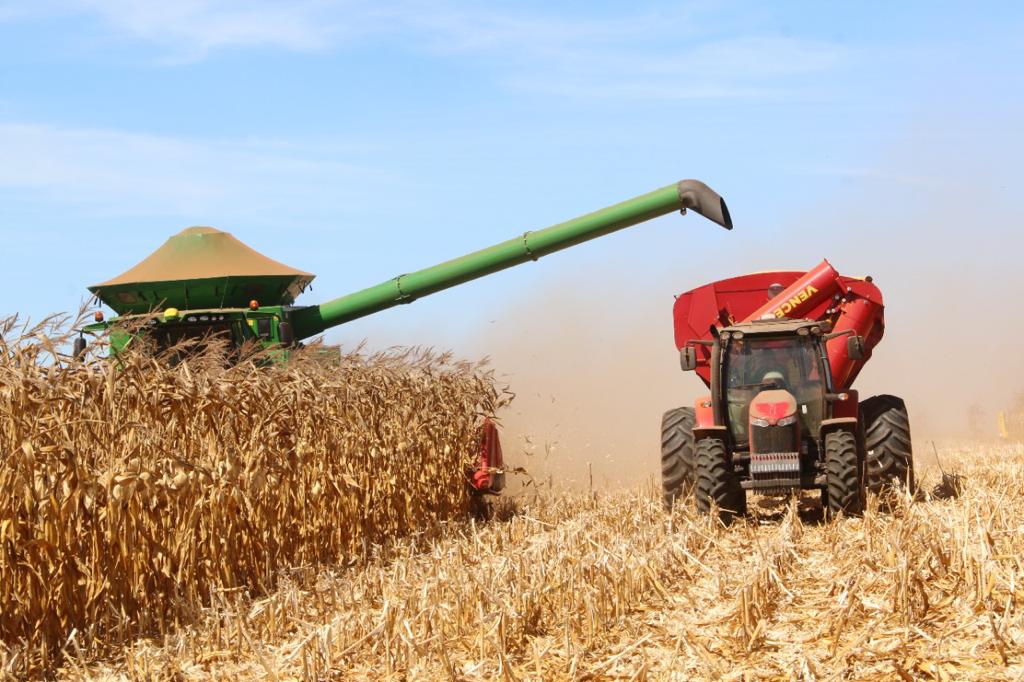 'Clima norte-americano será fundamental para os preços do milho no Brasil'