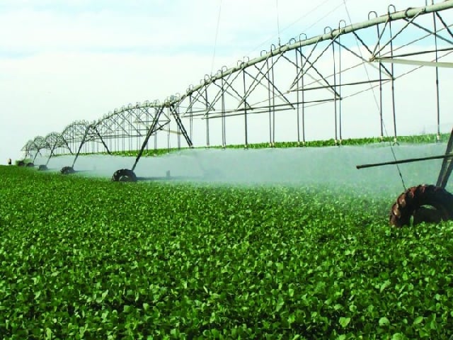 IRRIGAÇÃO - agricultura irrigada